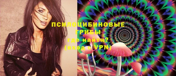 apvp Богданович