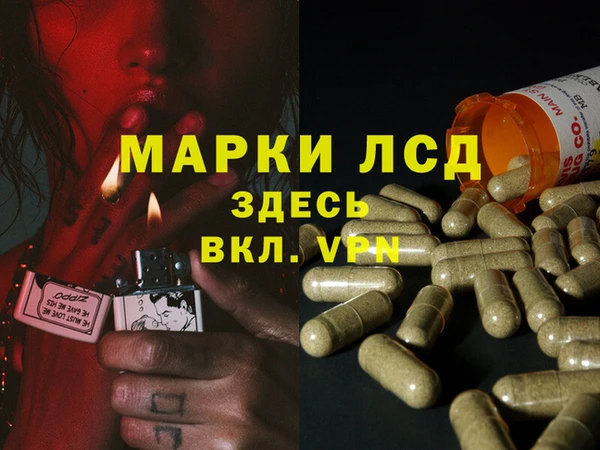 амф Беломорск