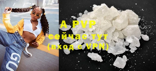 apvp Богданович